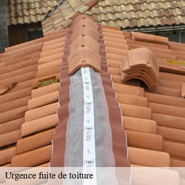 Urgence fuite de toiture  arrancourt-91690 CJ Toiture 
