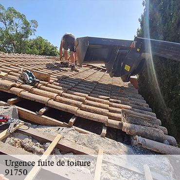 Urgence fuite de toiture  champcueil-91750 William