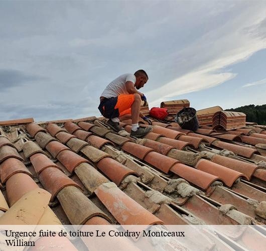 Urgence fuite de toiture  le-coudray-montceaux-91830 William