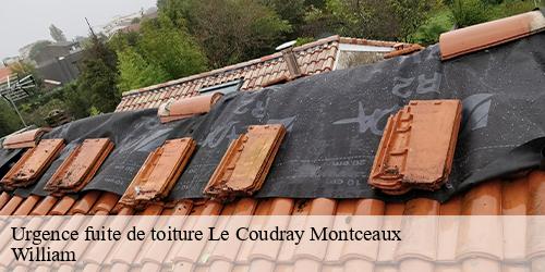 Urgence fuite de toiture  le-coudray-montceaux-91830 William