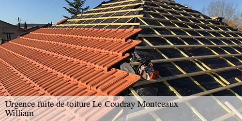 Urgence fuite de toiture  le-coudray-montceaux-91830 William