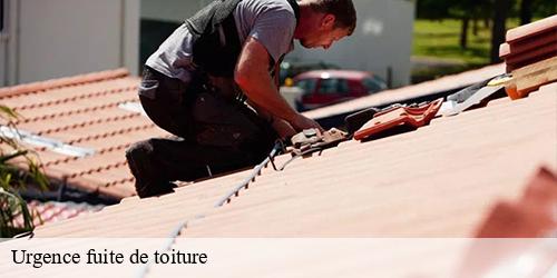 Urgence fuite de toiture  etiolles-91450 William