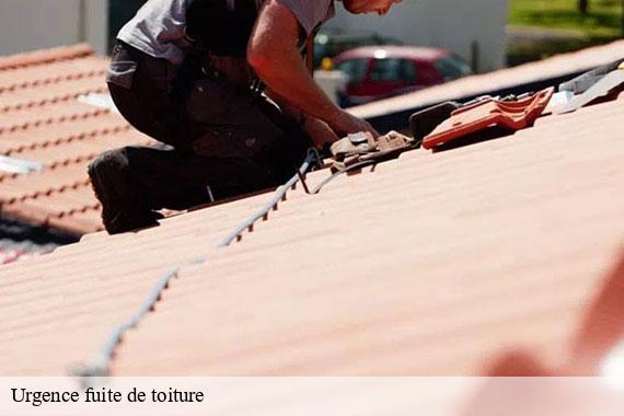 Urgence fuite de toiture montlhery-91310 CJ Toiture