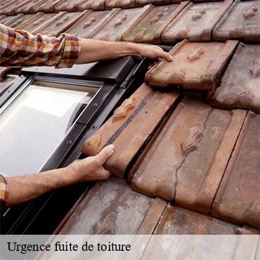 Urgence fuite de toiture  morsang-sur-seine-91250 William