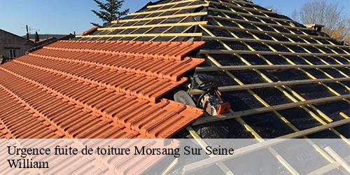 Urgence fuite de toiture  morsang-sur-seine-91250 William