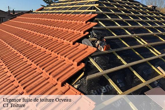 Urgence fuite de toiture orveau-91590 CJ Toiture