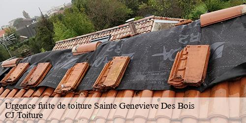 Urgence fuite de toiture  sainte-genevieve-des-bois-91700 CJ Toiture 