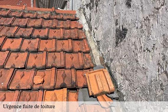 Urgence fuite de toiture saint-maurice-montcouronne-91530 CJ Toiture