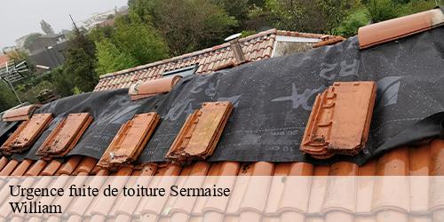 Urgence fuite de toiture  sermaise-91530 William