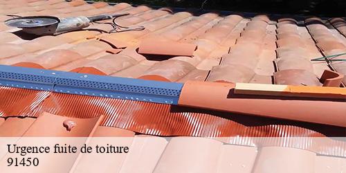Urgence fuite de toiture  soisy-sur-seine-91450 William