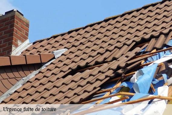 Urgence fuite de toiture  villeziers-91940 Lambert Couverture - Ravalement