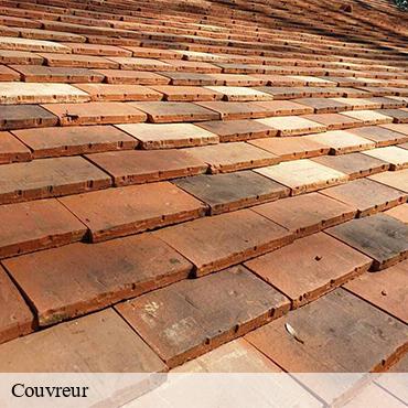 Couvreur  breuillet-91650 William