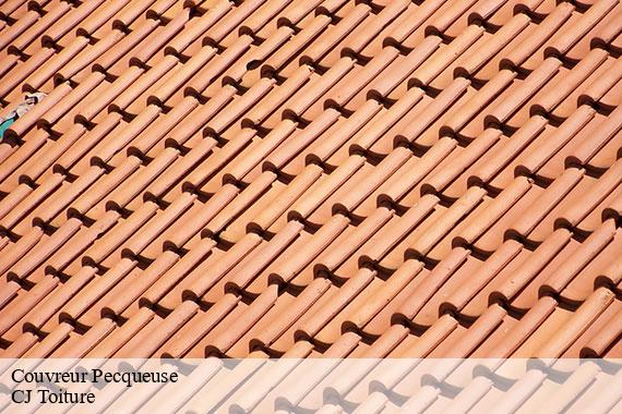 Couvreur pecqueuse-91470 CJ Toiture