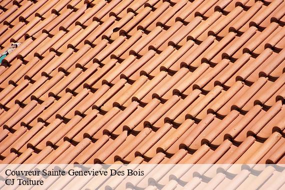 Couvreur  sainte-genevieve-des-bois-91700 CJ Toiture 