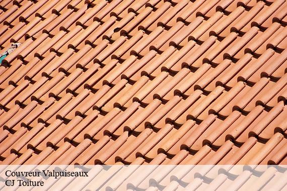 Couvreur valpuiseaux-91720 CJ Toiture