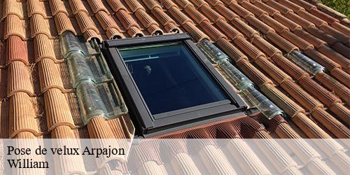 Pose de velux  arpajon-91290 William