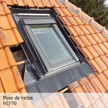 Pose de velux  bievres-91570 William
