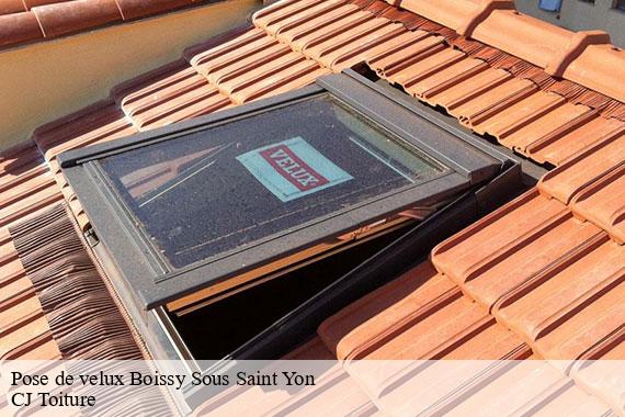 Pose de velux boissy-sous-saint-yon-91790 CJ Toiture