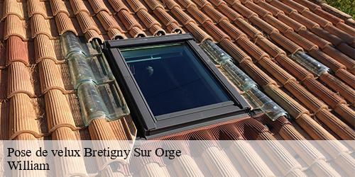 Pose de velux  bretigny-sur-orge-91220 William