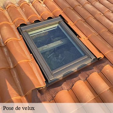 Pose de velux  bruyeres-le-chatel-91680 William