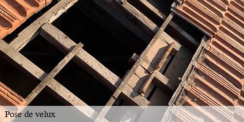 Pose de velux  congerville-91740 William