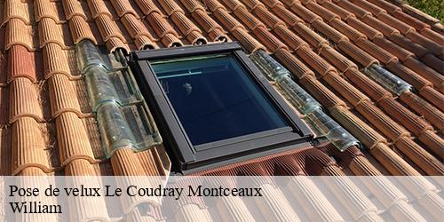 Pose de velux  le-coudray-montceaux-91830 William