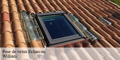 Pose de velux  echarcon-91540 William