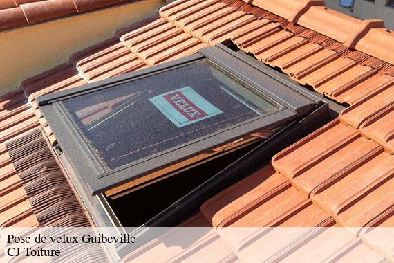 Pose de velux guibeville-91630 CJ Toiture