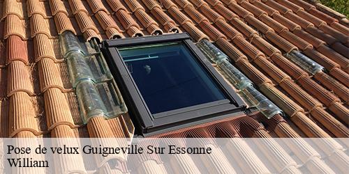 Pose de velux  guigneville-sur-essonne-91590 William