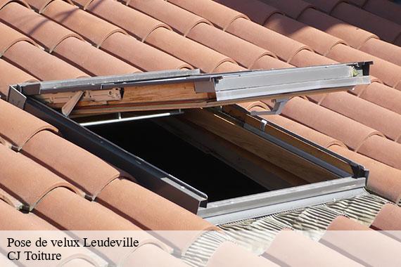 Pose de velux leudeville-91630 CJ Toiture