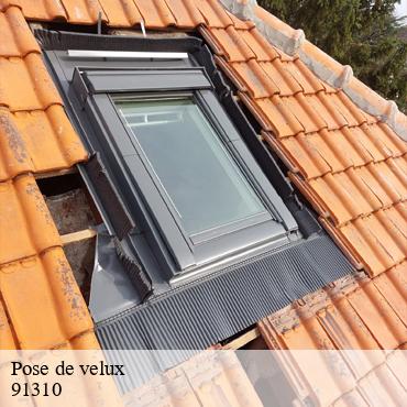 Pose de velux  longpont-sur-orge-91310 William