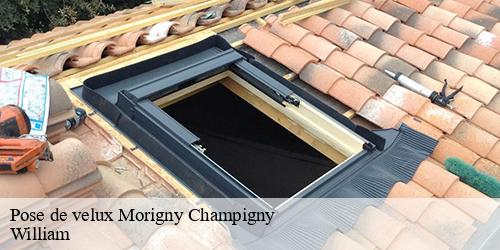 Pose de velux  morigny-champigny-91150 William