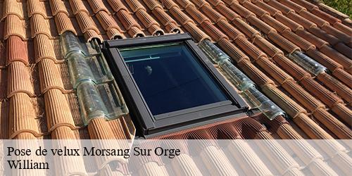 Pose de velux  morsang-sur-orge-91390 William