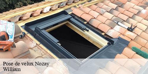 Pose de velux  nozay-91620 William