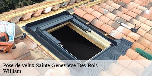 Pose de velux  sainte-genevieve-des-bois-91700 William