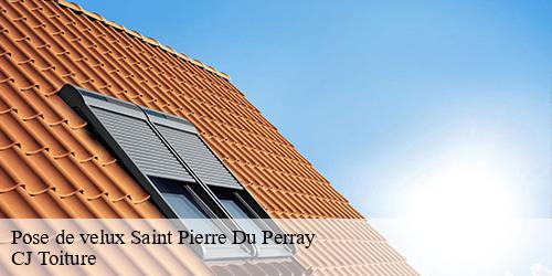 Pose de velux  saint-pierre-du-perray-91280 CJ Toiture 