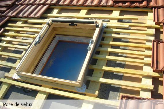 Pose de velux  saint-pierre-du-perray-91280 Lambert Couverture - Ravalement