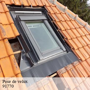Pose de velux  saint-vrain-91770 William