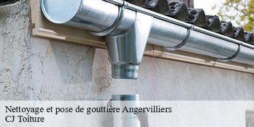 Nettoyage et pose de gouttière  angervilliers-91470 CJ Toiture 