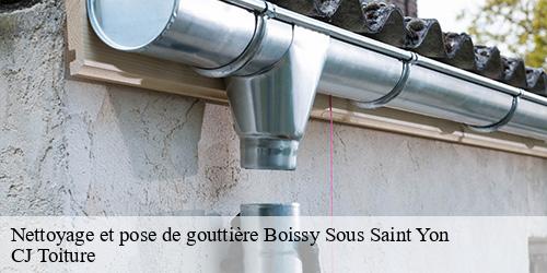 Nettoyage et pose de gouttière  boissy-sous-saint-yon-91790 CJ Toiture 