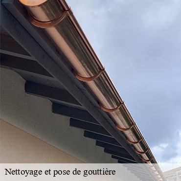 Nettoyage et pose de gouttière  boutigny-sur-essonne-91820 William