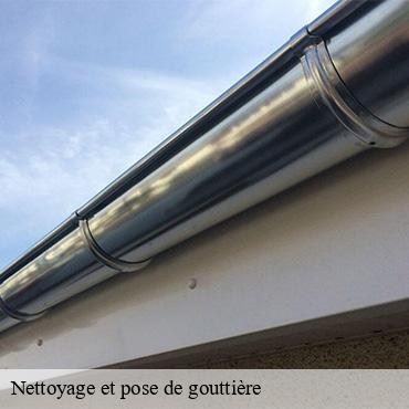 Nettoyage et pose de gouttière  breux-jouy-91650 CJ Toiture 