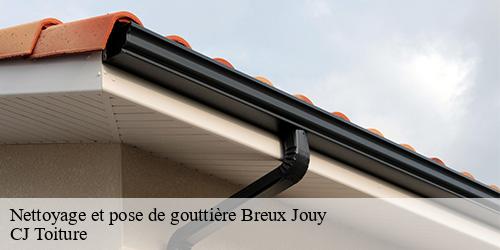 Nettoyage et pose de gouttière  breux-jouy-91650 CJ Toiture 