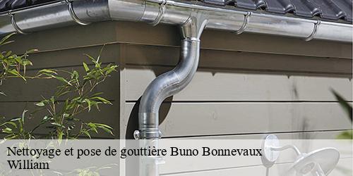 Nettoyage et pose de gouttière  buno-bonnevaux-91720 William