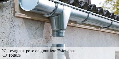 Nettoyage et pose de gouttière  estouches-91660 CJ Toiture 
