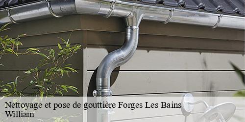 Nettoyage et pose de gouttière  forges-les-bains-91470 William
