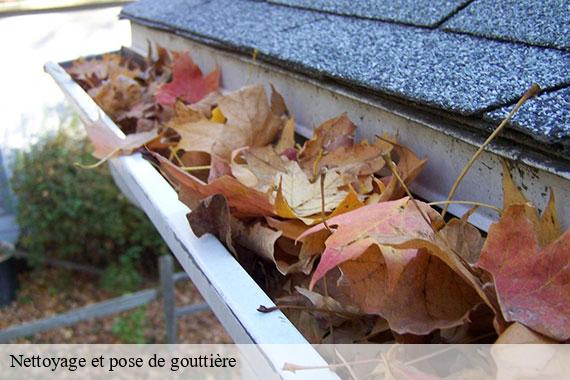 Nettoyage et pose de gouttière janville-sur-juine-91510 CJ Toiture