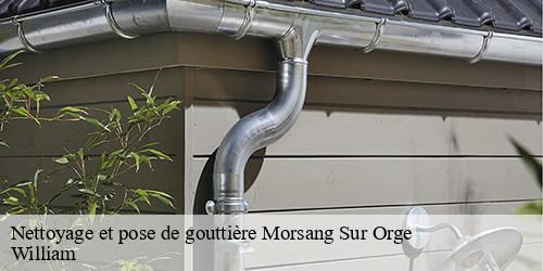 Nettoyage et pose de gouttière  morsang-sur-orge-91390 William