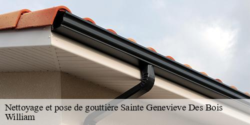 Nettoyage et pose de gouttière  sainte-genevieve-des-bois-91700 William