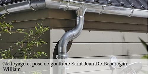 Nettoyage et pose de gouttière  saint-jean-de-beauregard-91940 William